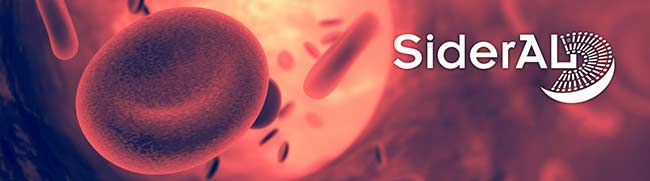 قرص آهن سیدرال فولیک