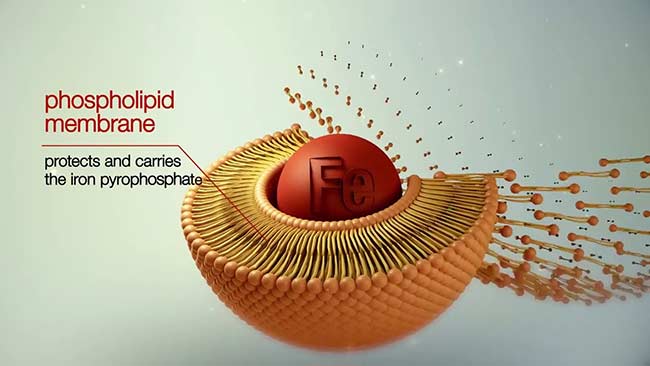 سیدرال فولیک با تکنولوژی لیپوزومال