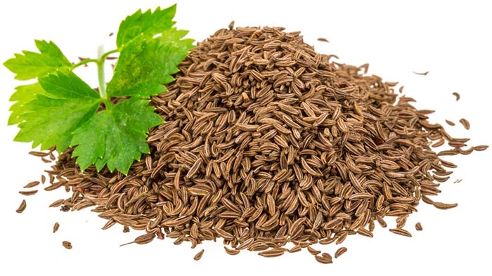 تاثیر نعنا و زیره بر روی گوارش بدن