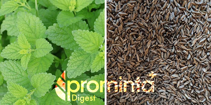 پرومینتا دایجست برای مشکلات گوارشی