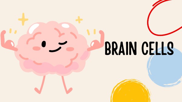 قرص تقویت حافظه