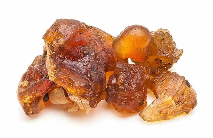 گوگول کپسول پرونوتری ولبیینگ کلسترول رستا دارو