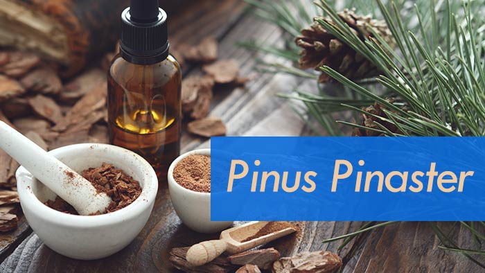 کپسول پرونوتری ولبیینگ کلسترول