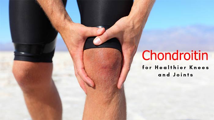 مکمل کندرویتین