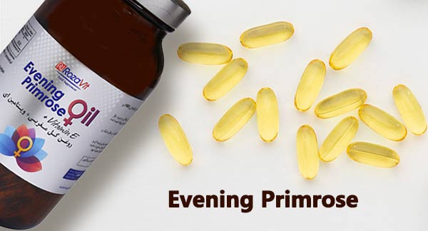 قرص گل مغربی رزاویت