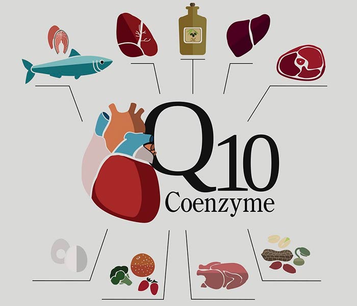 خواص کیوتن در بدن