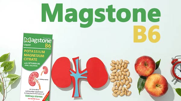 مگستون ب6 ویتابیوتیکس