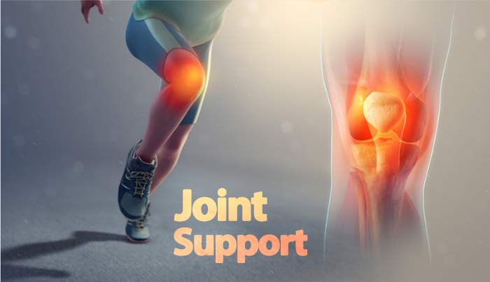 جوینت ساپورت مکمل درمان آرتروز