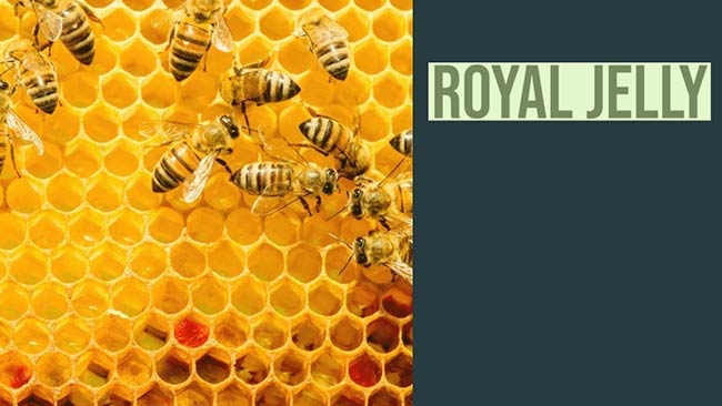 رویال ژلی روژویت