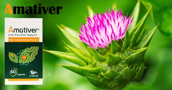 آماتیور برای کبد چرب