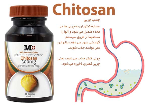 چیتوزان ام پلاس برای لاغری