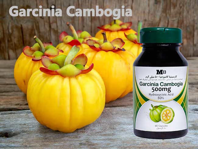 قرص گارسینیا کامبوجیا 500 ام پلاس