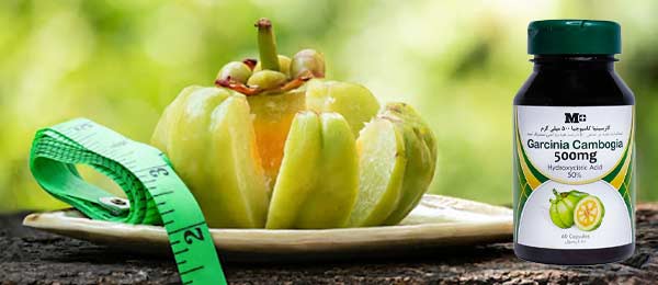 آیا گارسینیا کامبوجیا واقعا لاغر میکند