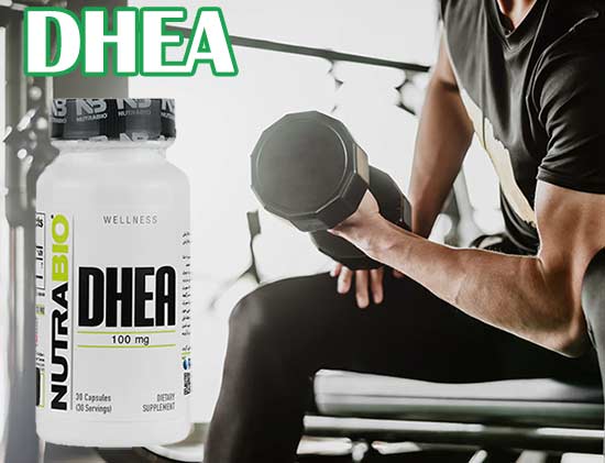 کپسول دی اچ ای آ نوترابایو