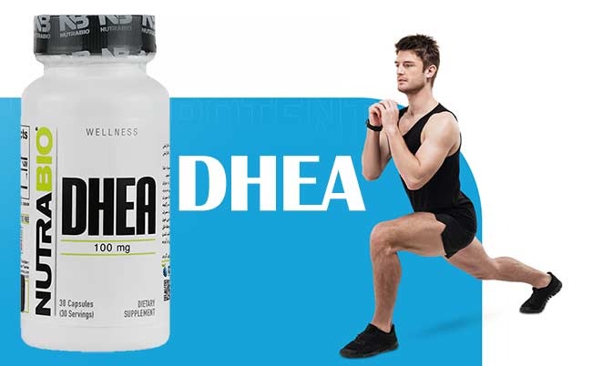 کپسول دی اچ ایی ای نوترابایو