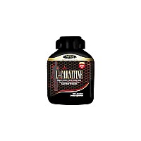 کپسول ال کارنیتین 500 اپکس | 60 عدد | افزایش قدرت و چربی سوزی
