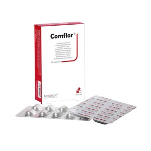 کپسول کام فلور فرابیوتیک 30 عددی | کمک به درمان بیماری های التهابی روده