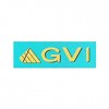جی وی آی | GVI