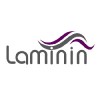 لامینین | Laminin