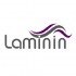 لامینین | Laminin