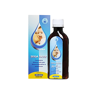 شربت سگا نوز سلامت گستر آرتیمان 200 میلی