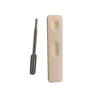 بی بی چک وی ور | تست دقیق و سریع بارداری