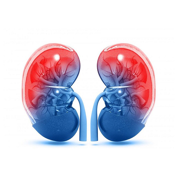 سنگ کلیه و رواتینکس(Rowatinex)