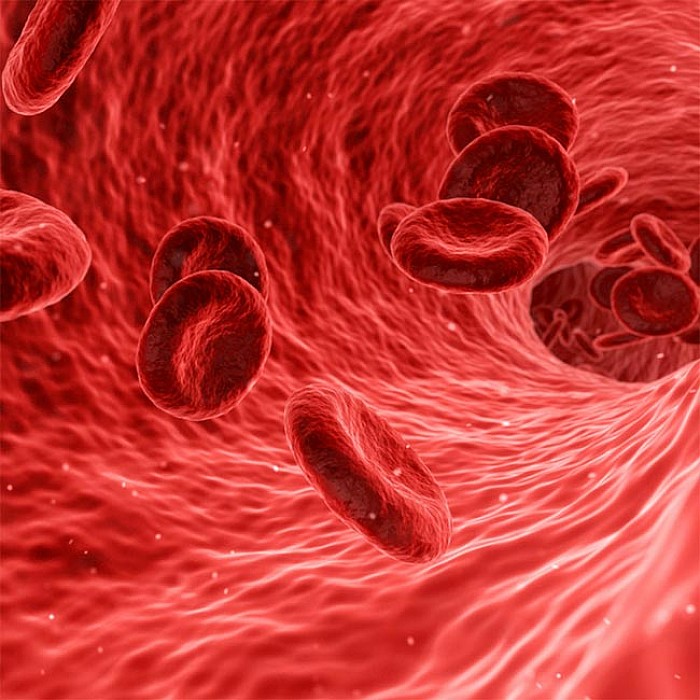 کم خونی و بهترین مکمل های درمان کم خونی