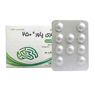 قرص مموری پاور 250