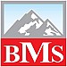 بی ام اس | BMS