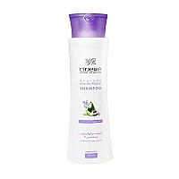 شامپو آووکادو و ویتامین اف سینره | ترمیم کننده موهای خشک و شکننده