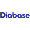 دیابیس | Diabase