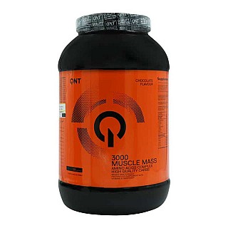 گینر ماسل مس کیو ان تی