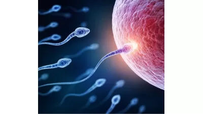 بهترین راهکارهای افزایش باروری مردان به کمک مکمل ها در بهبود کیفیت اسپرم
