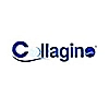 کلاژینو | Collagino