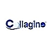 کلاژینو | collagino