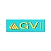 جی وی آی | GVI