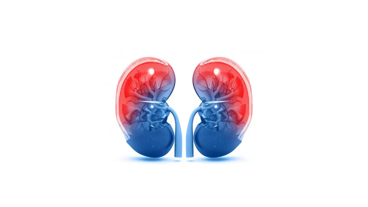 سنگ کلیه و رواتینکس(Rowatinex)