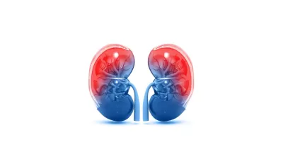 سنگ کلیه و رواتینکس(Rowatinex)