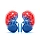 سنگ کلیه و رواتینکس(Rowatinex)
