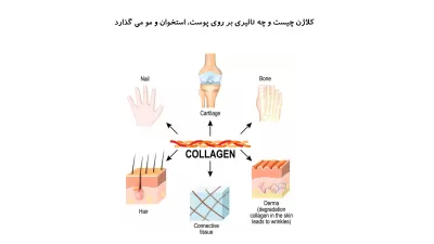 کلاژن چیست و چه تاثیری بر پوست و مو و ناخن و استخوان می گذارد