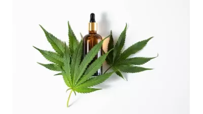 تاثیرات مصرف ماریجوانا روی بدن