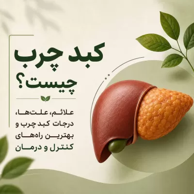 کبد چرب چیست؟ علائم، علت‌ها، درجات کبد چرب و بهترین راه‌های کنترل و درمان