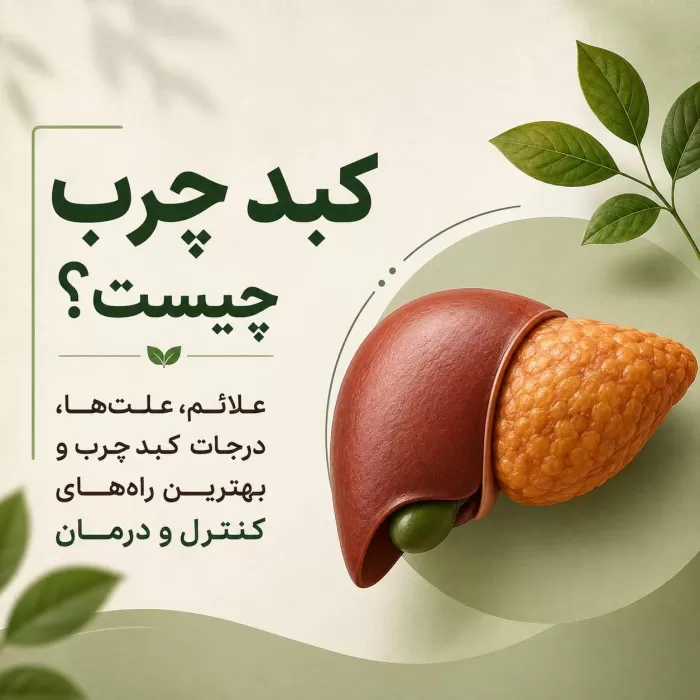 کبد چرب چیست؟ علائم، علت‌ها، درجات کبد چرب و بهترین راه‌های کنترل و درمان