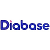 دیابیس | Diabase