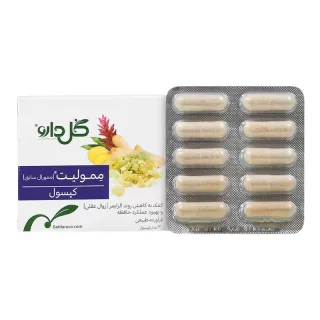 ممولیت