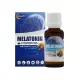 قطره ملاتونین و ویتامین ب6