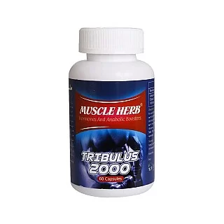 تریبولوس 2000 ماسل هرب