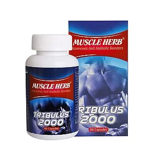 تریبولوس 2000 ماسل هرب