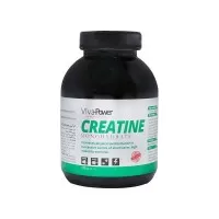 کراتین مونوهیدرات ویوا پاور 100 گرمی